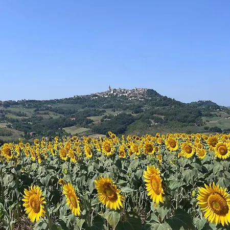 Colle Costanza