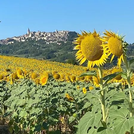 Colle Costanza Prázdninový dům Todi