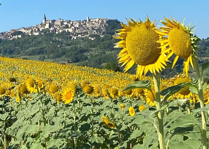 Colle Costanza Casa vacanze Todi